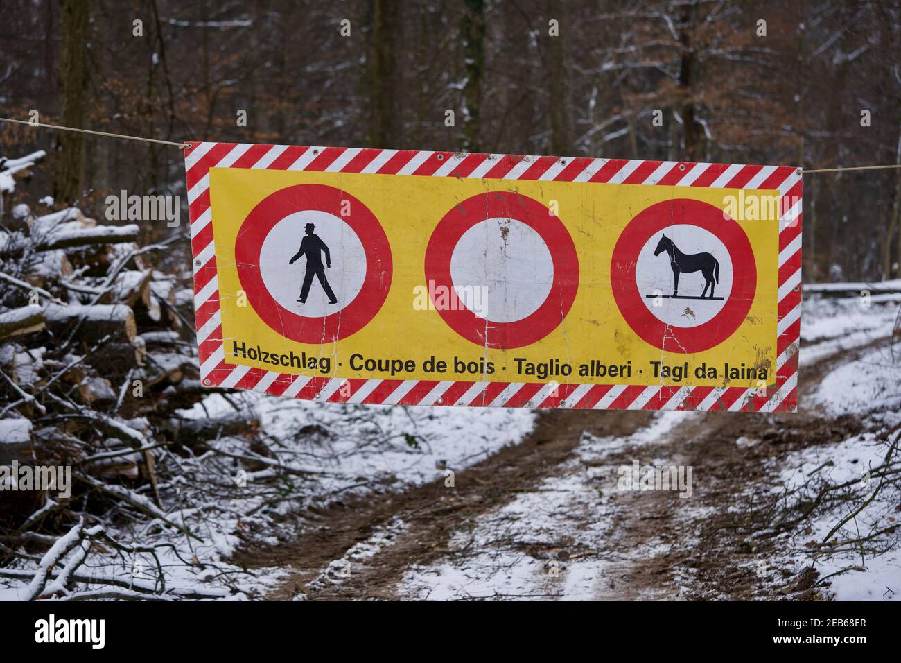Closed path because of lumbering, Zurich, Switzerland, with warning banner lumbering. Translation of Holzschlag (German) ist lumbering. Stock Photo