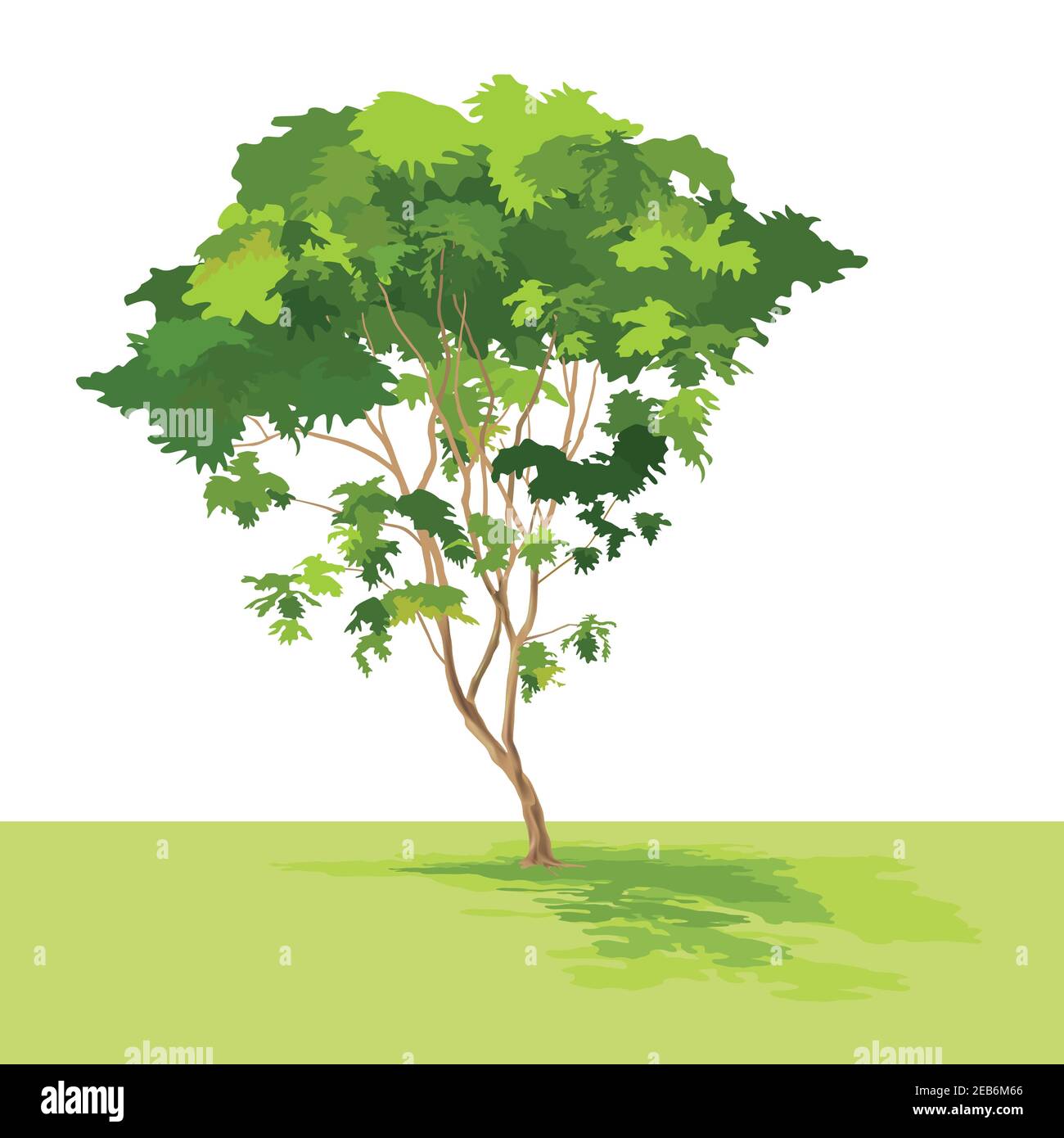 Tree on vector with isolated background Stock Vector Image & Art - Alamy