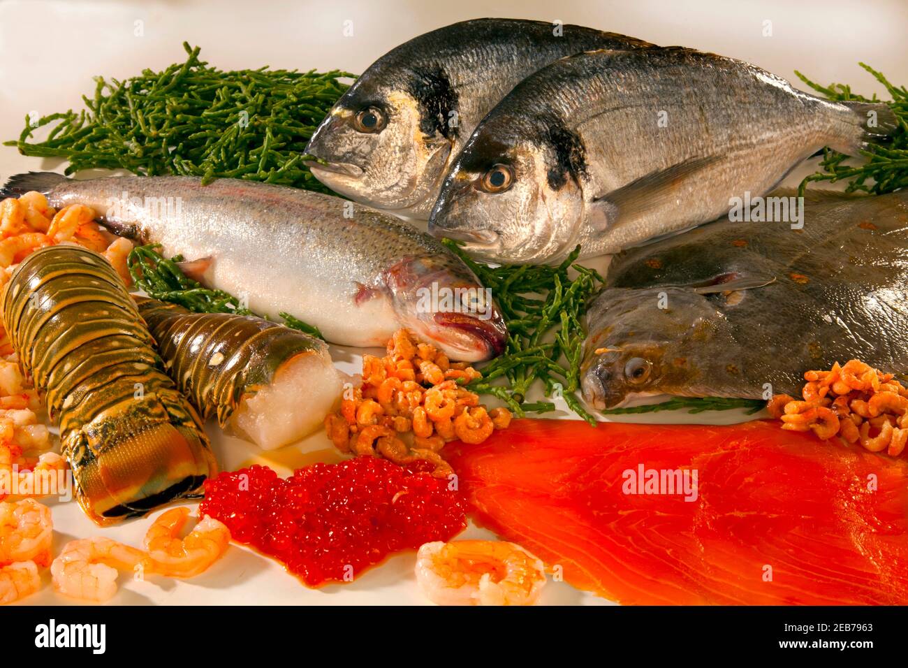 Selection of uncooked fresh fish on white background Stock Photo