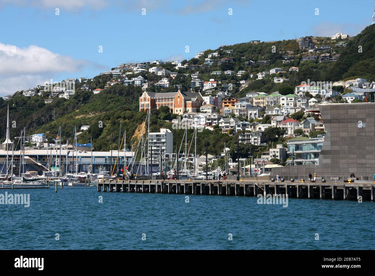 Wellington city, New Zealand. City skyline with Mount Victoria. Stock Photo