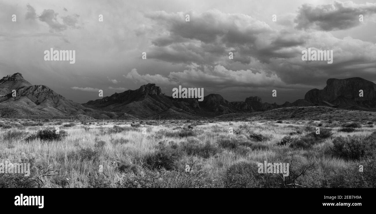 Spring storm clouds form over the Chisos Mountains in Big Bend National Park, Texas. Stock Photo