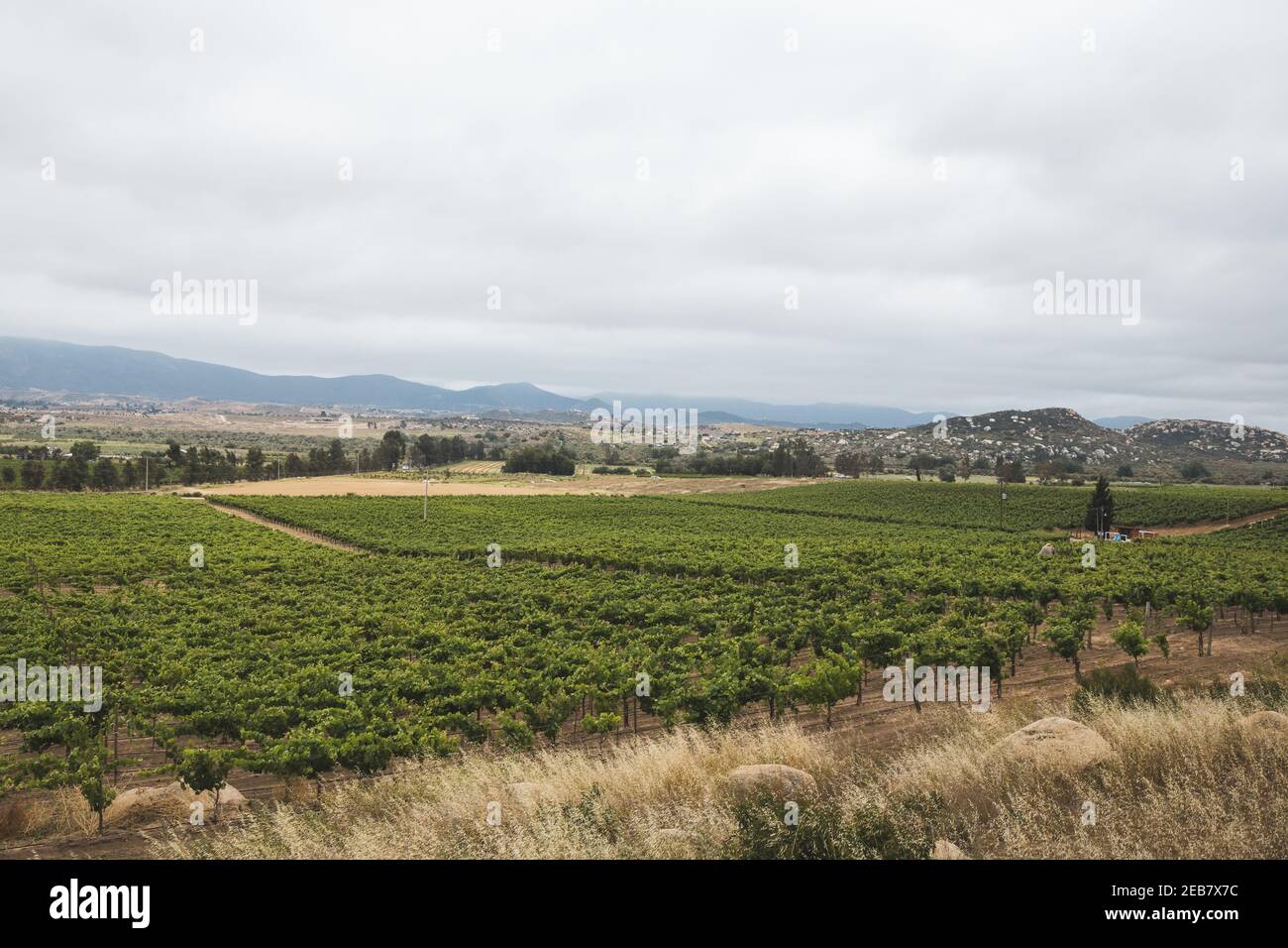 Valle de guadalupe hi-res stock photography and images - Alamy