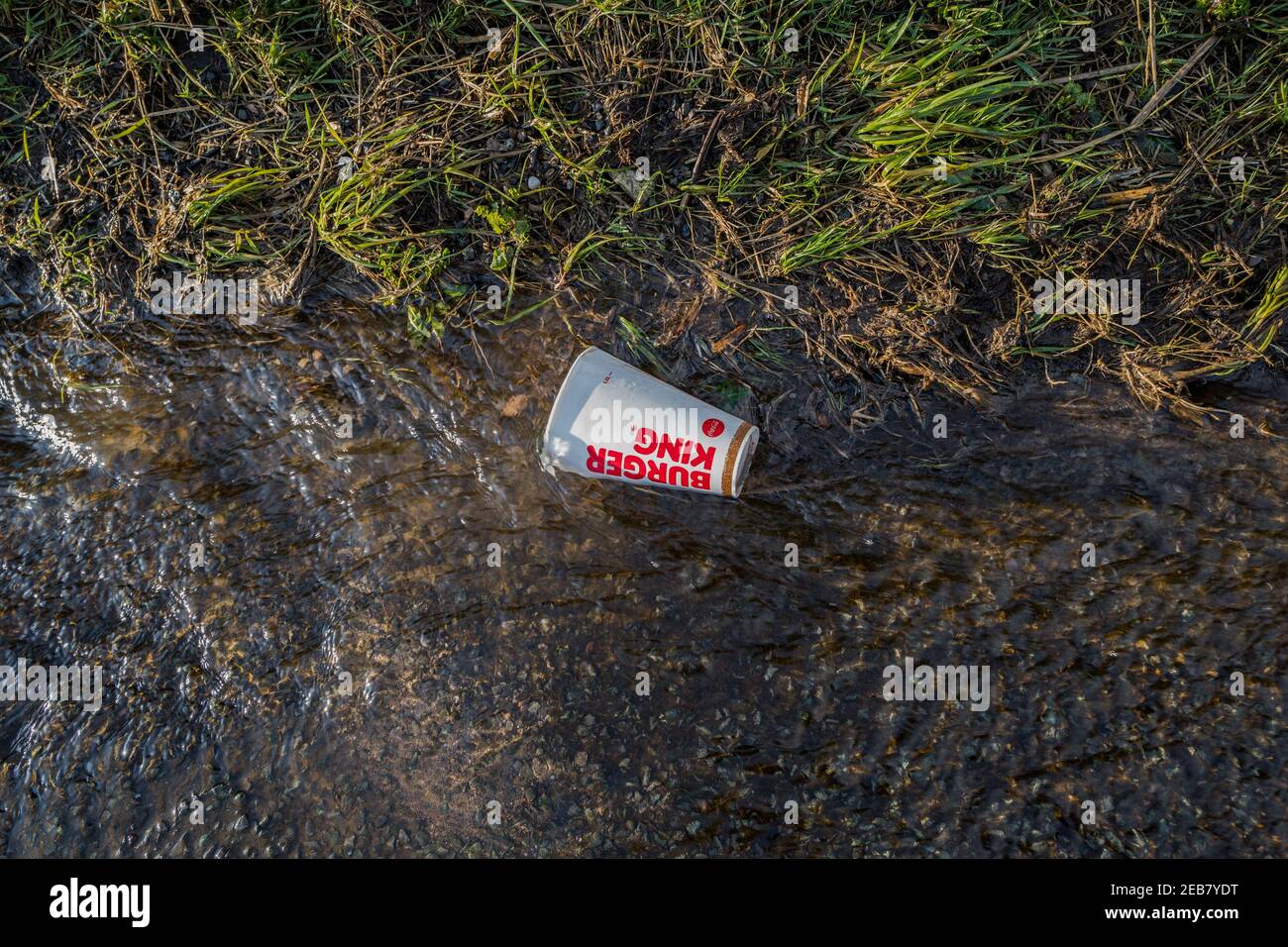 https://c8.alamy.com/comp/2EB7YDT/empty-burger-king-coca-cola-drinks-cup-floating-a-flooded-road-2EB7YDT.jpg