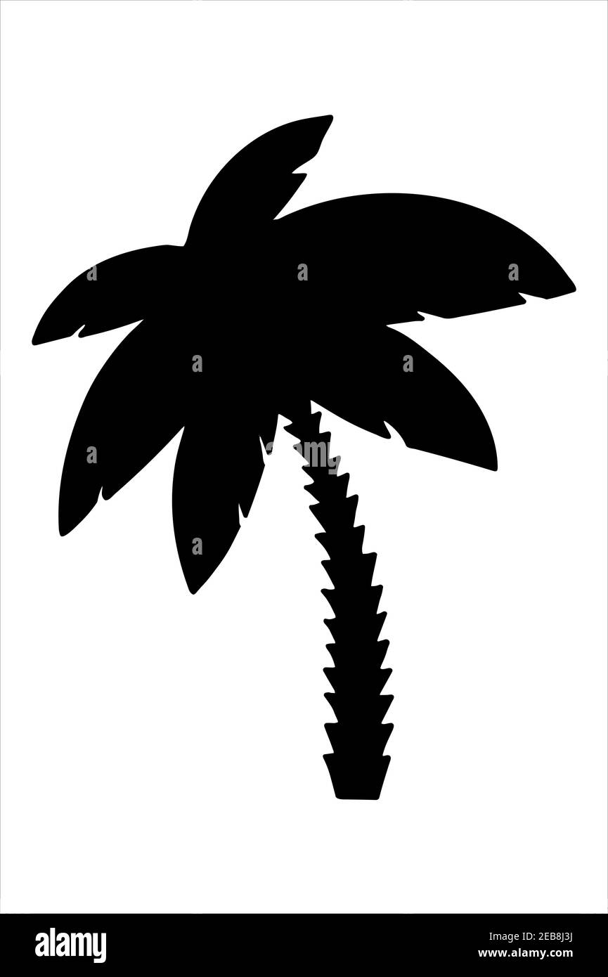 Palm tree silhouette, isolated hand drawn black and white vector ...