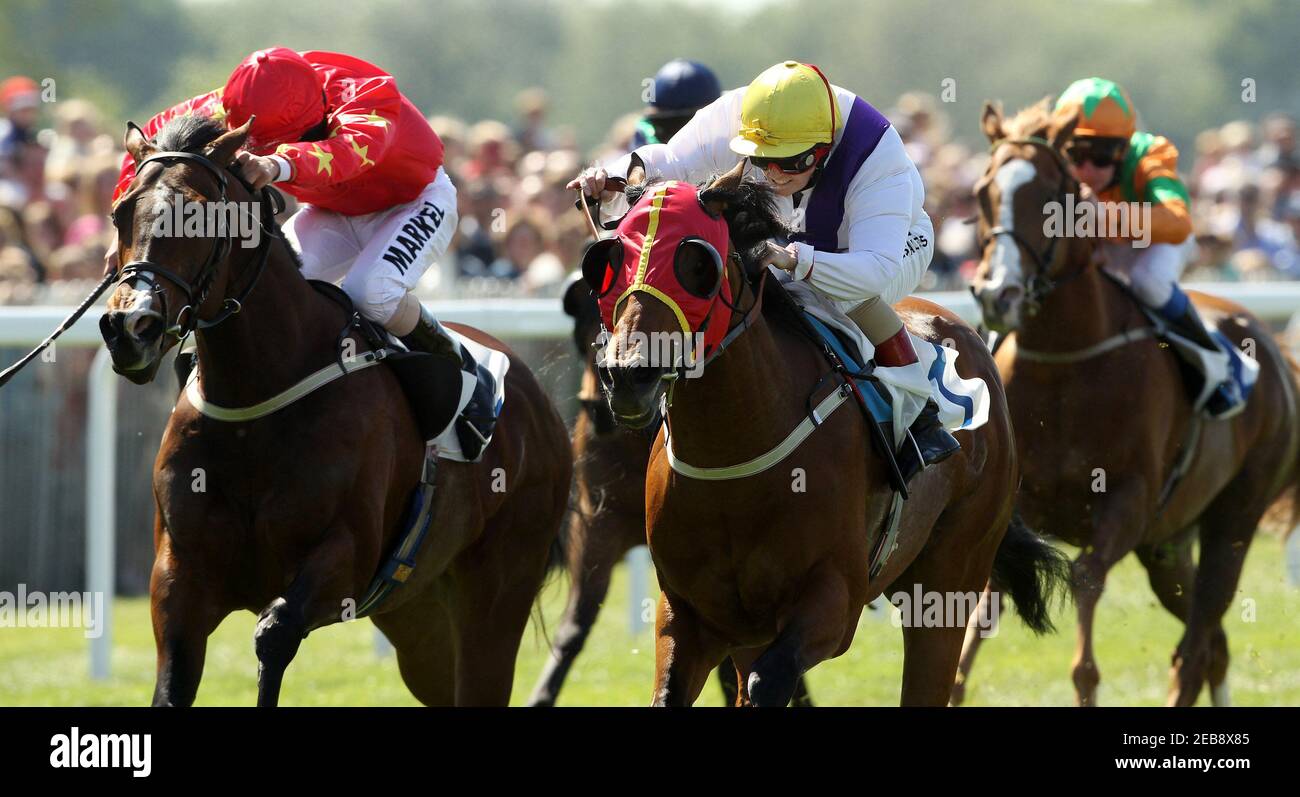 Barbados Horse Racing High Resolution Stock Photography And Images Alamy