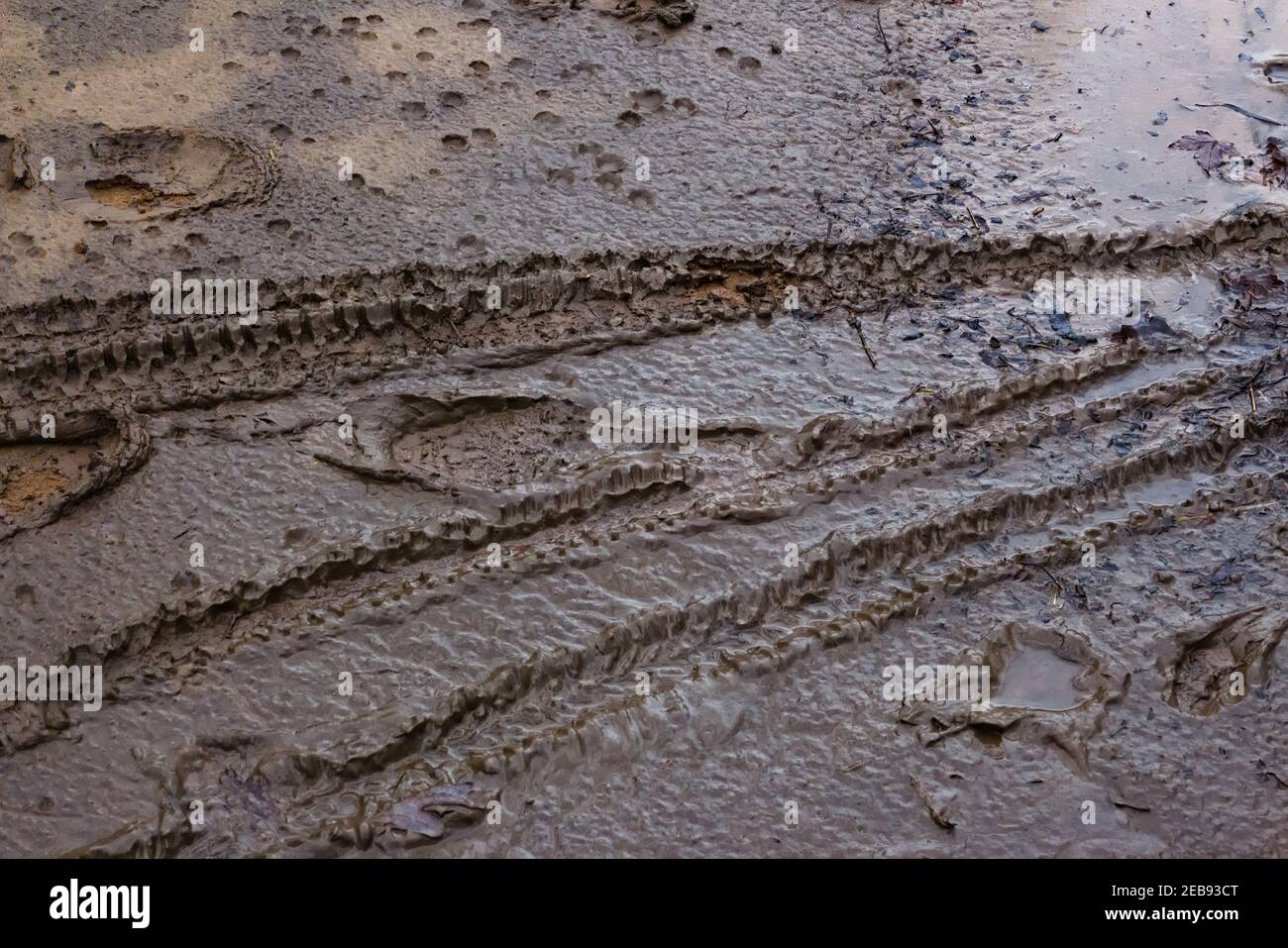 Bicycle tire tracks in the mud Stock Photo Alamy