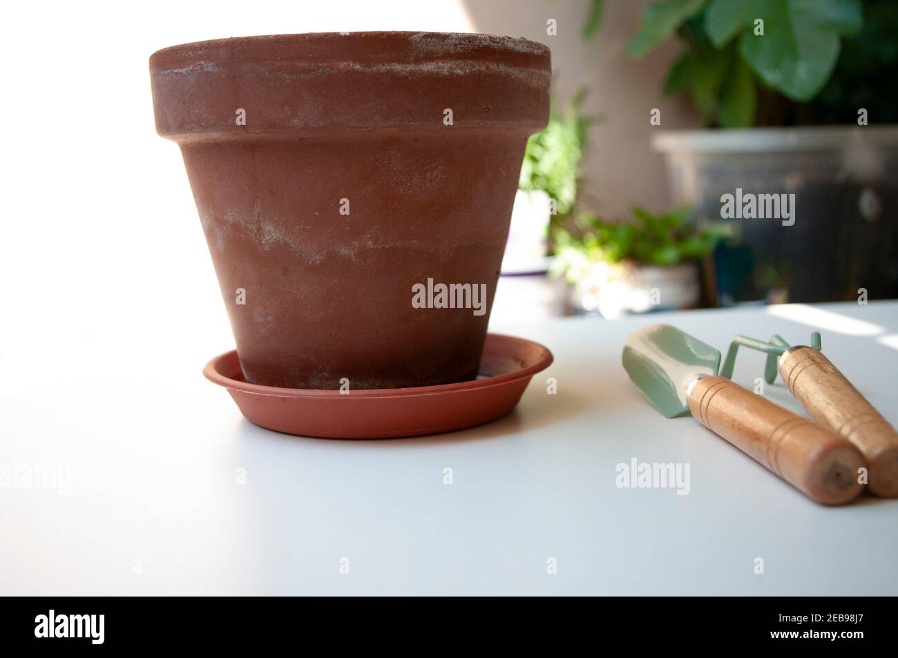 Ceramic pot and gardening tools. Home planting. Stock Photo