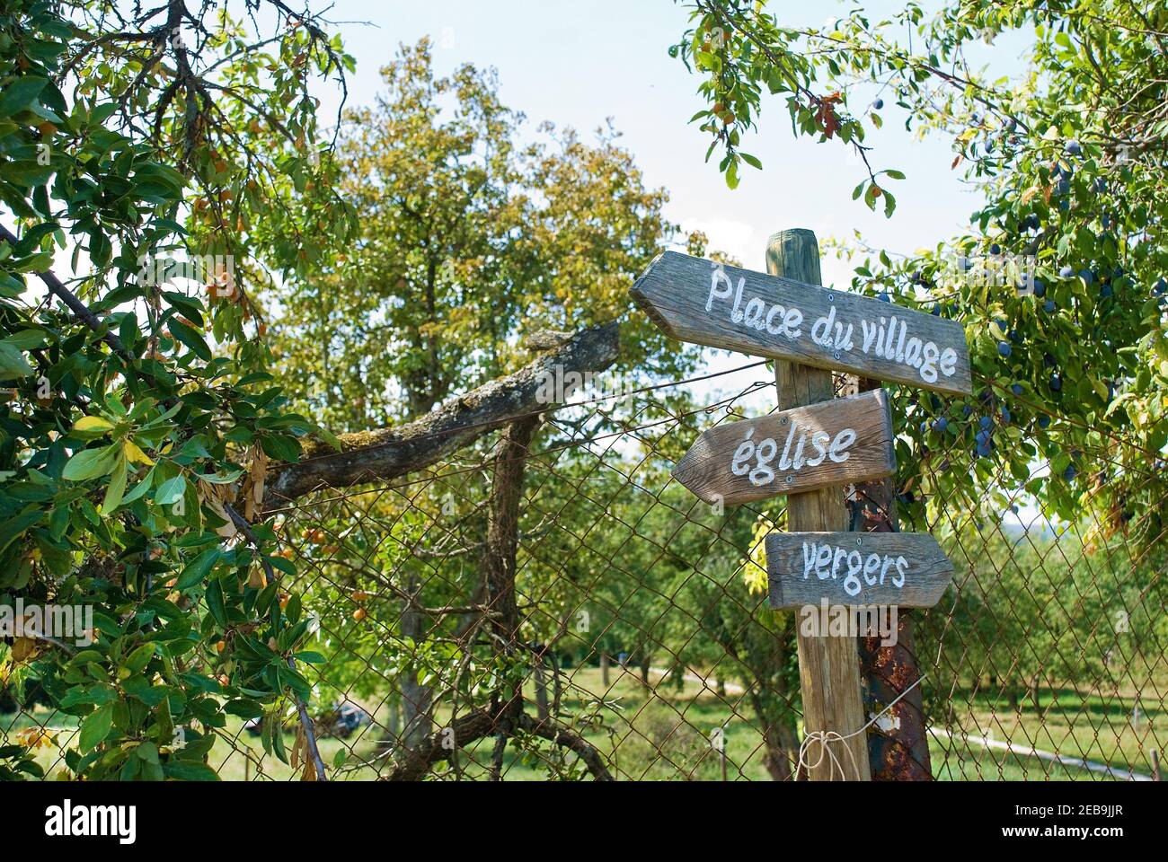 Wooden signpost in Hunspach between the church, orchards and cemetery, Village square, church, orchard Stock Photo