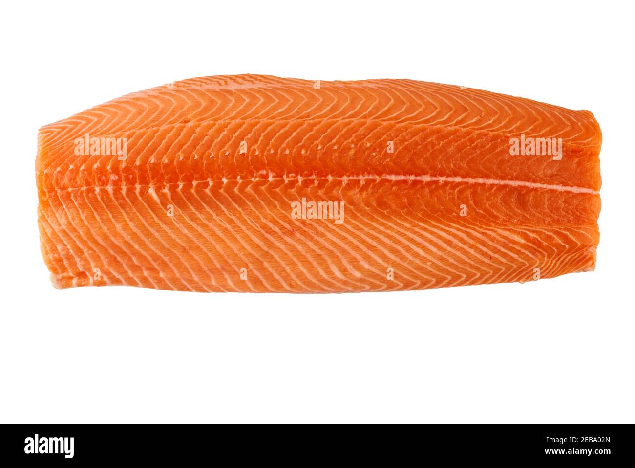 Fresh raw whole salmon fillet uncooked fish isolated on white