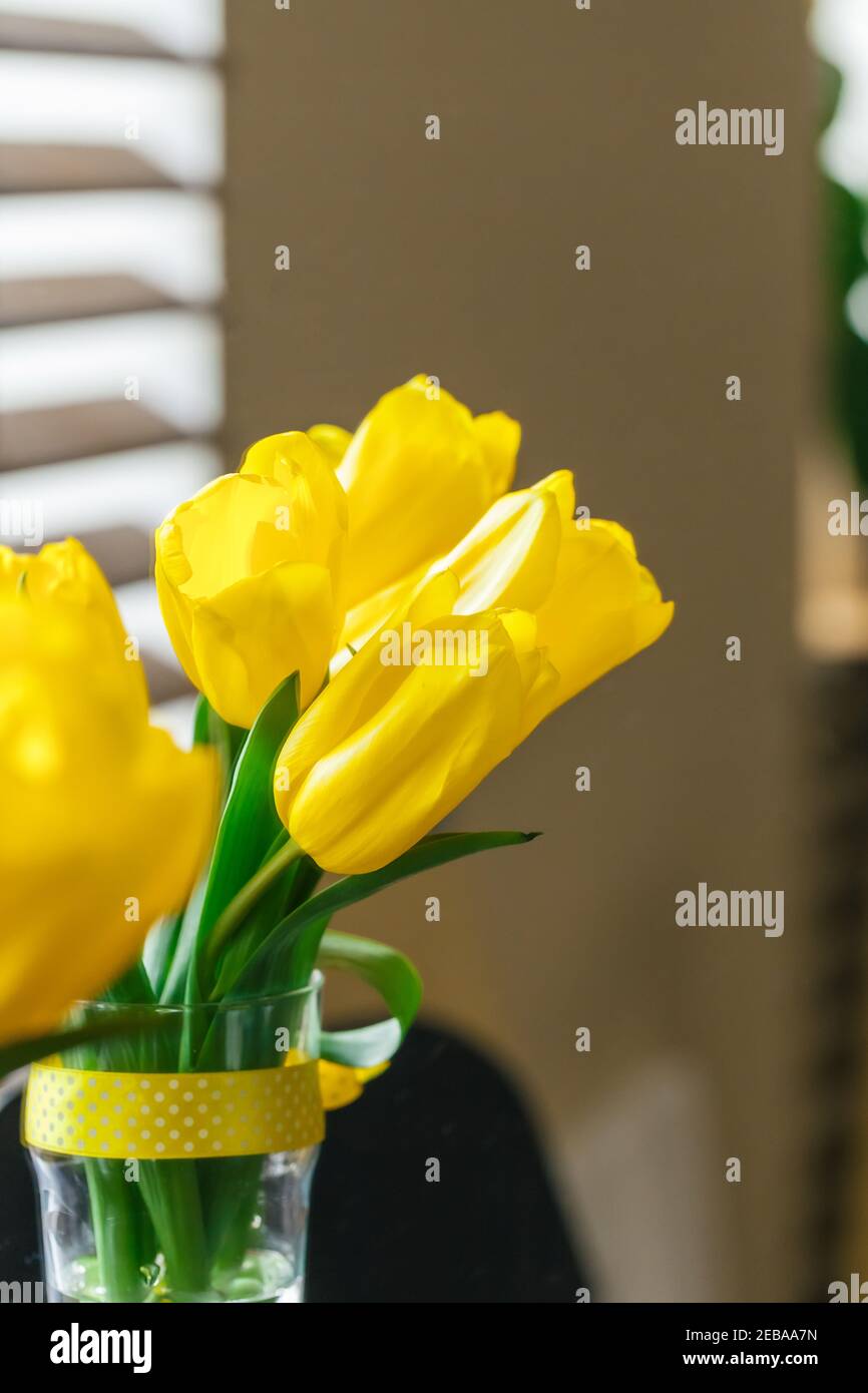 Close up image of yellow tulip Stock Photo - Alamy