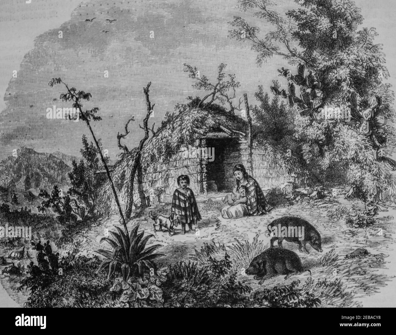 chaumiere d'indiens aux environ de quito , le magazin pittoresque par edouard charton 1855 Stock Photo