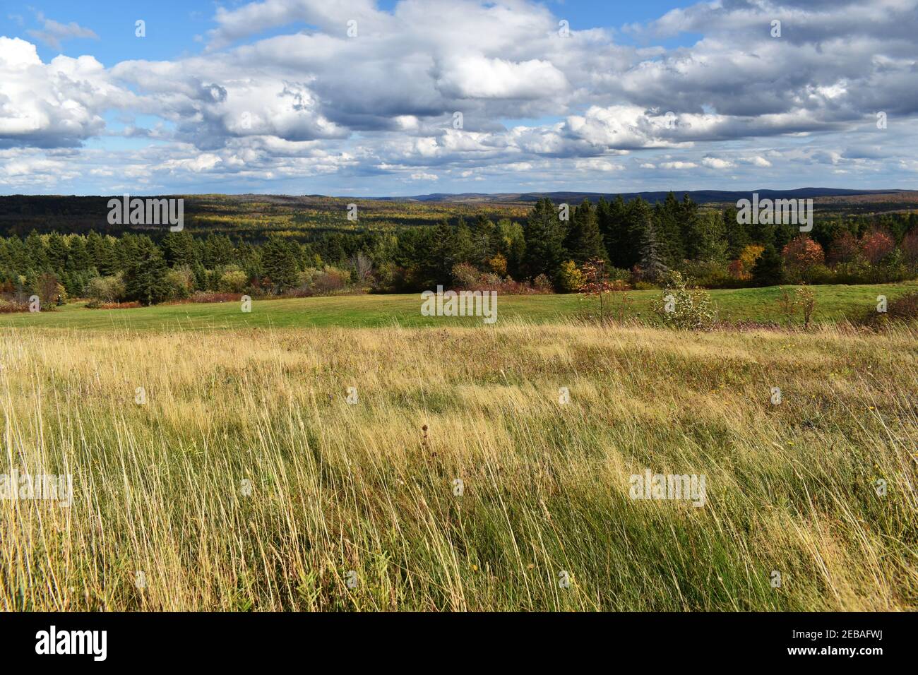 Un champ au début de l'automne, Sainte-Apolline, Québec Stock Photo