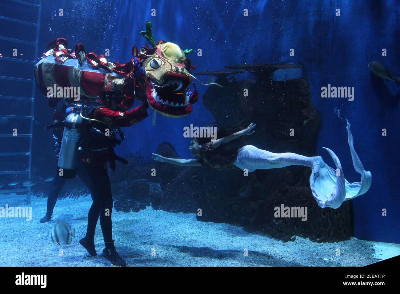 Jakarta Aquarium High Resolution Stock Photography And Images Alamy