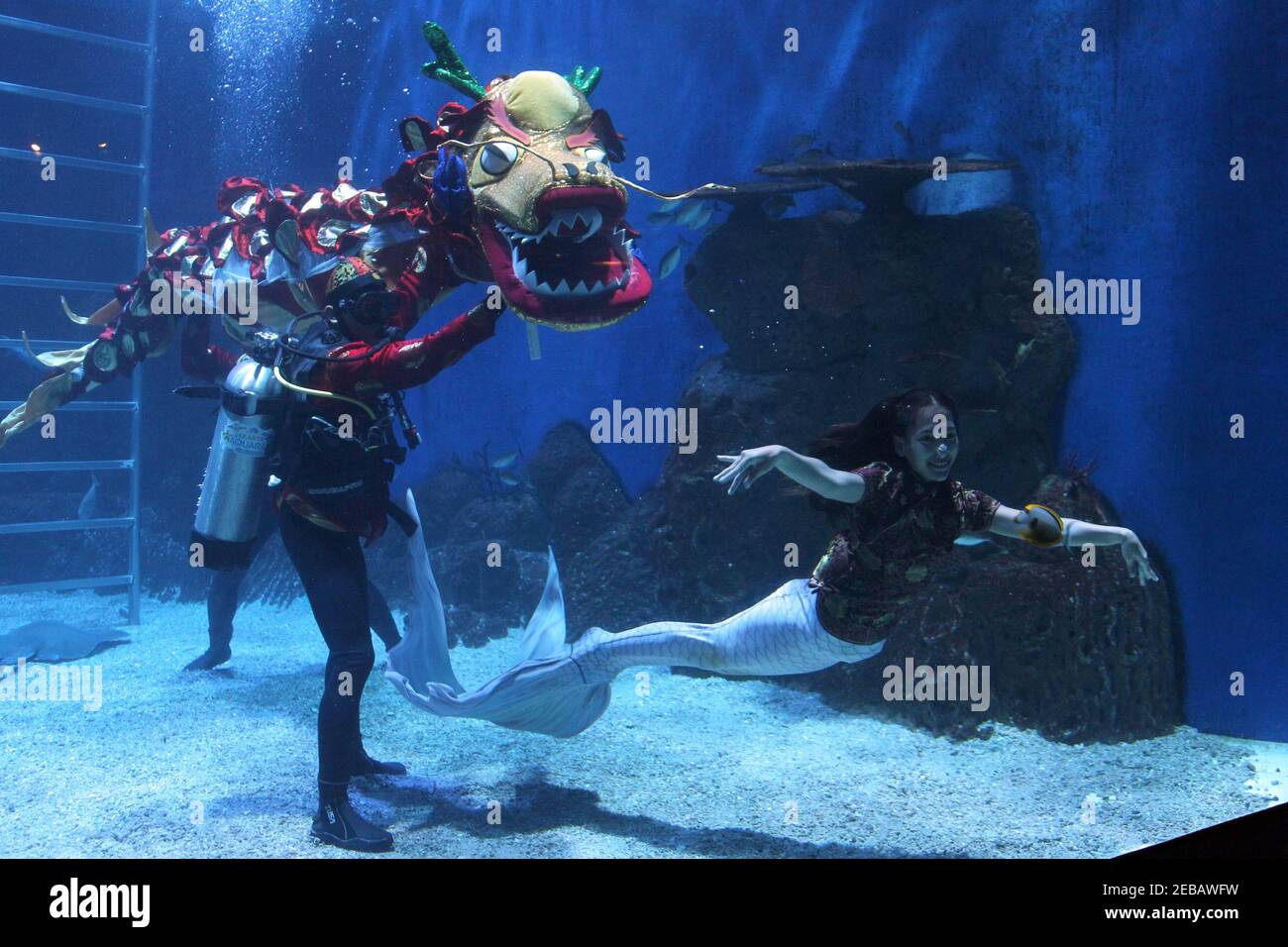 Jakarta Aquarium High Resolution Stock Photography And Images Alamy