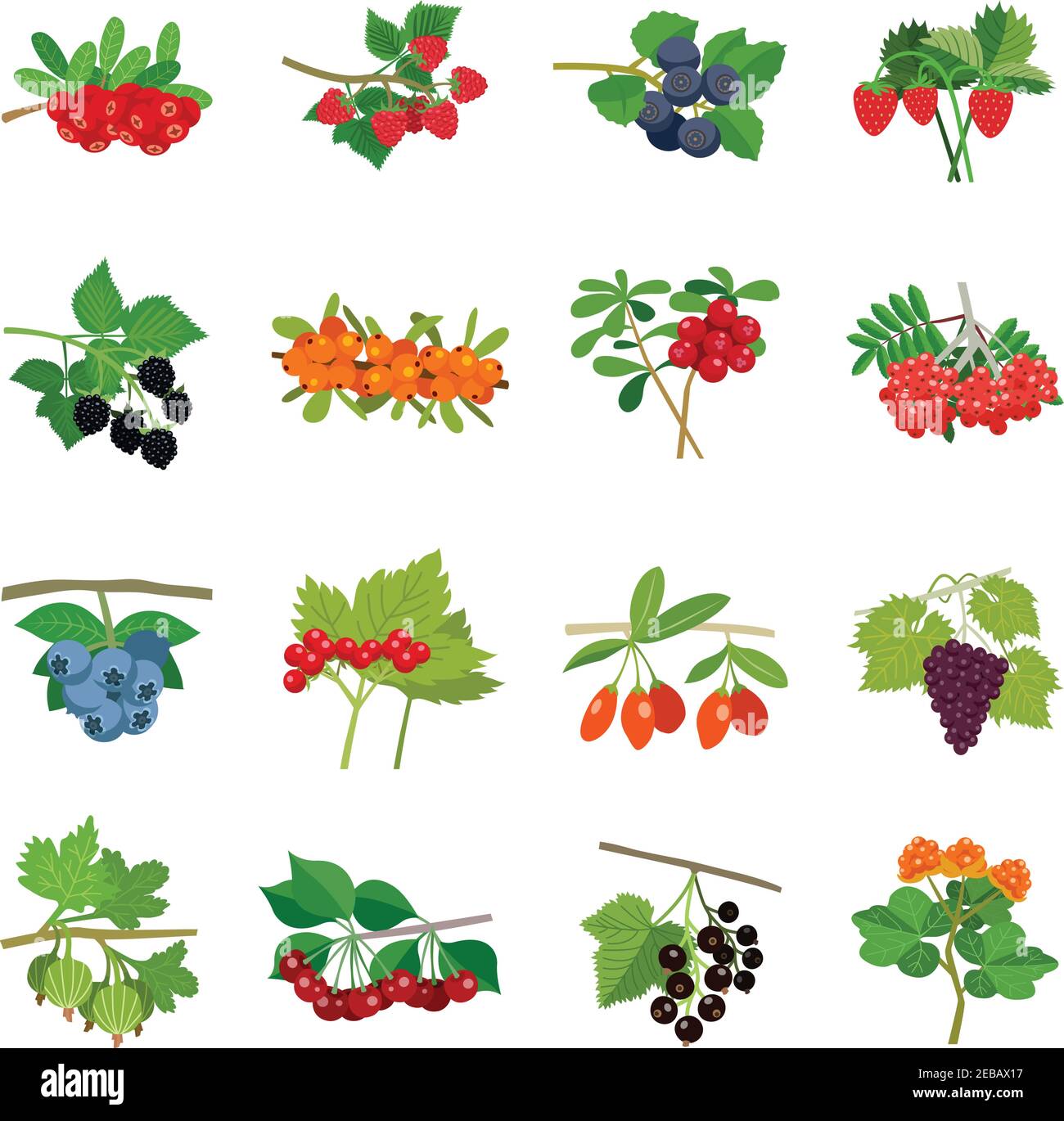 Colorful berries icons set of different kinds in flat style isolated ...