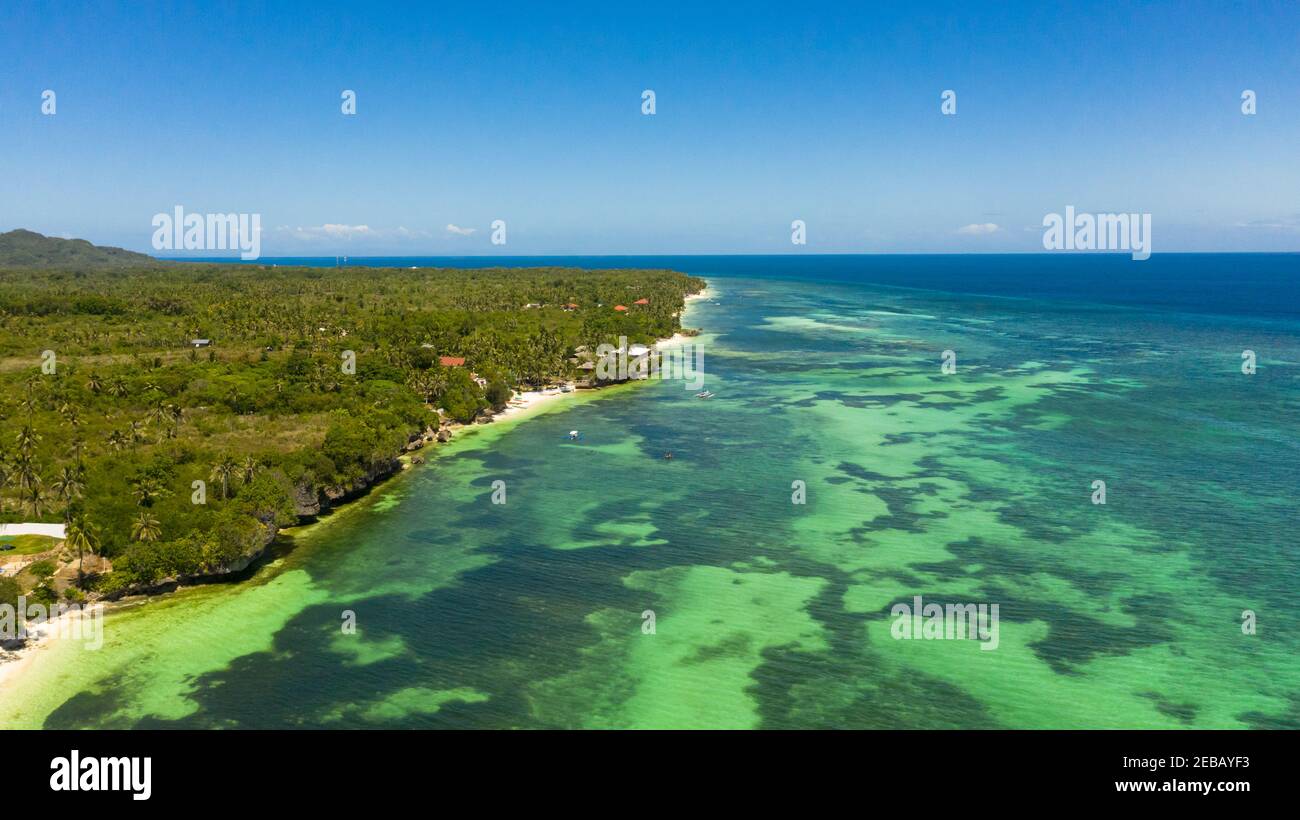 Tropical sandy beach with palm trees and turquoise clear waters. Bohol, Anda, Philippines. Stock Photo