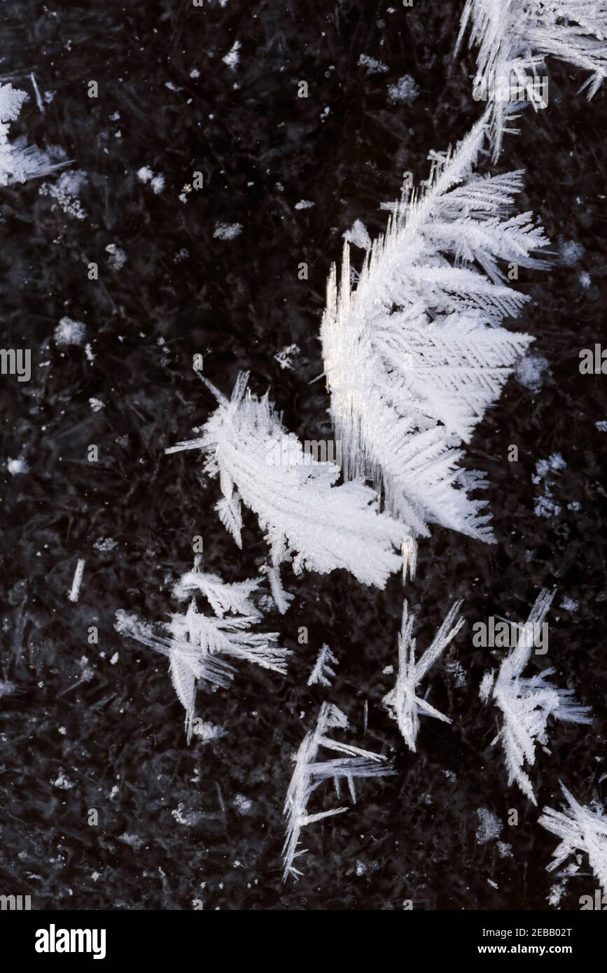 A wonderful formation of cold on the ice. Ice snowflakes, the unique beauty of winter. Stock Photo