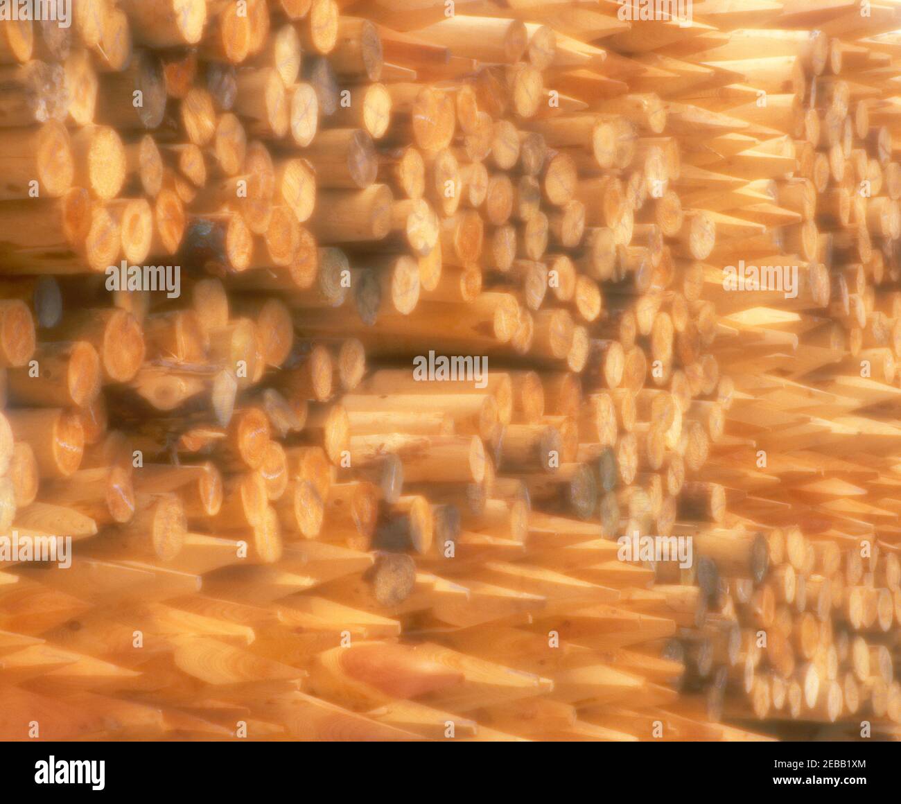 Soft wood lumber hires stock photography and images Alamy