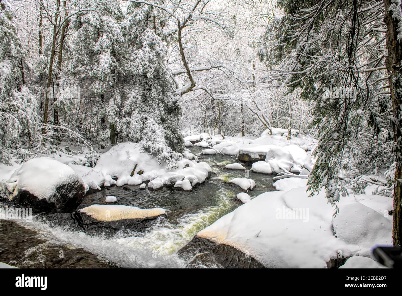 River in a snowy forest on a gloomy day in winter Stock Photo - Alamy