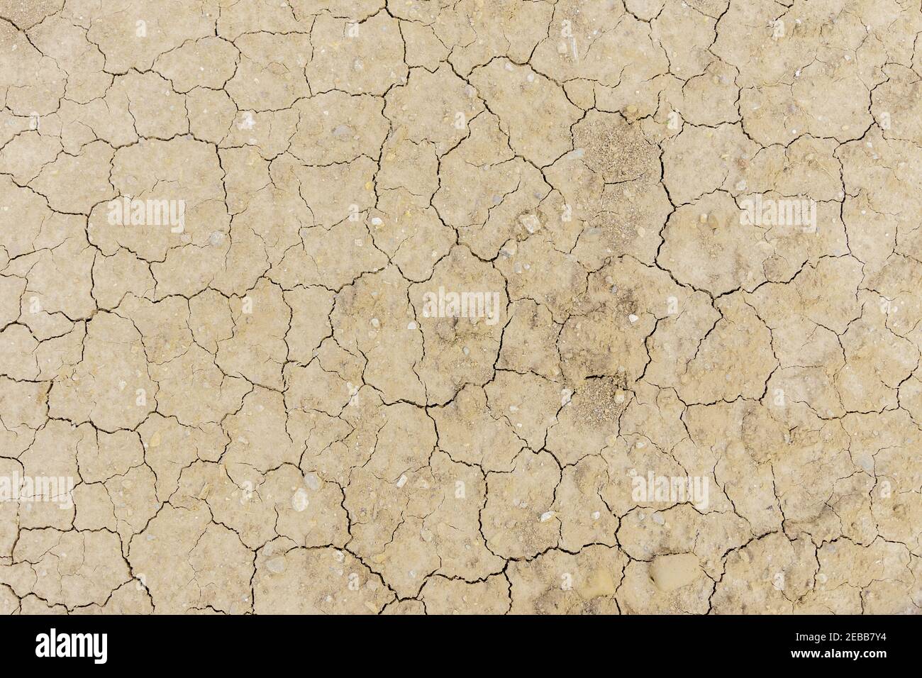 Texture of dry cracked earth surface. Cracked patch of land with no vegetation from above. Cracks in land as symbol of hot climate and drought. Global Stock Photo