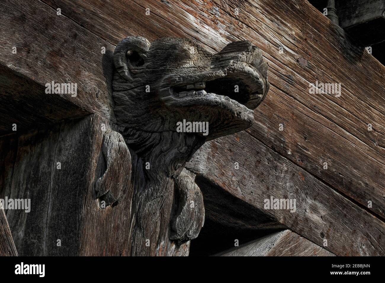 Snarling animal carved in wood on late-13th century timber-framed façade of the Maison des Consuls, the former council house, of the bastide town of Mirepoix in the Ariège, Occitanie, southwest France. Stock Photo