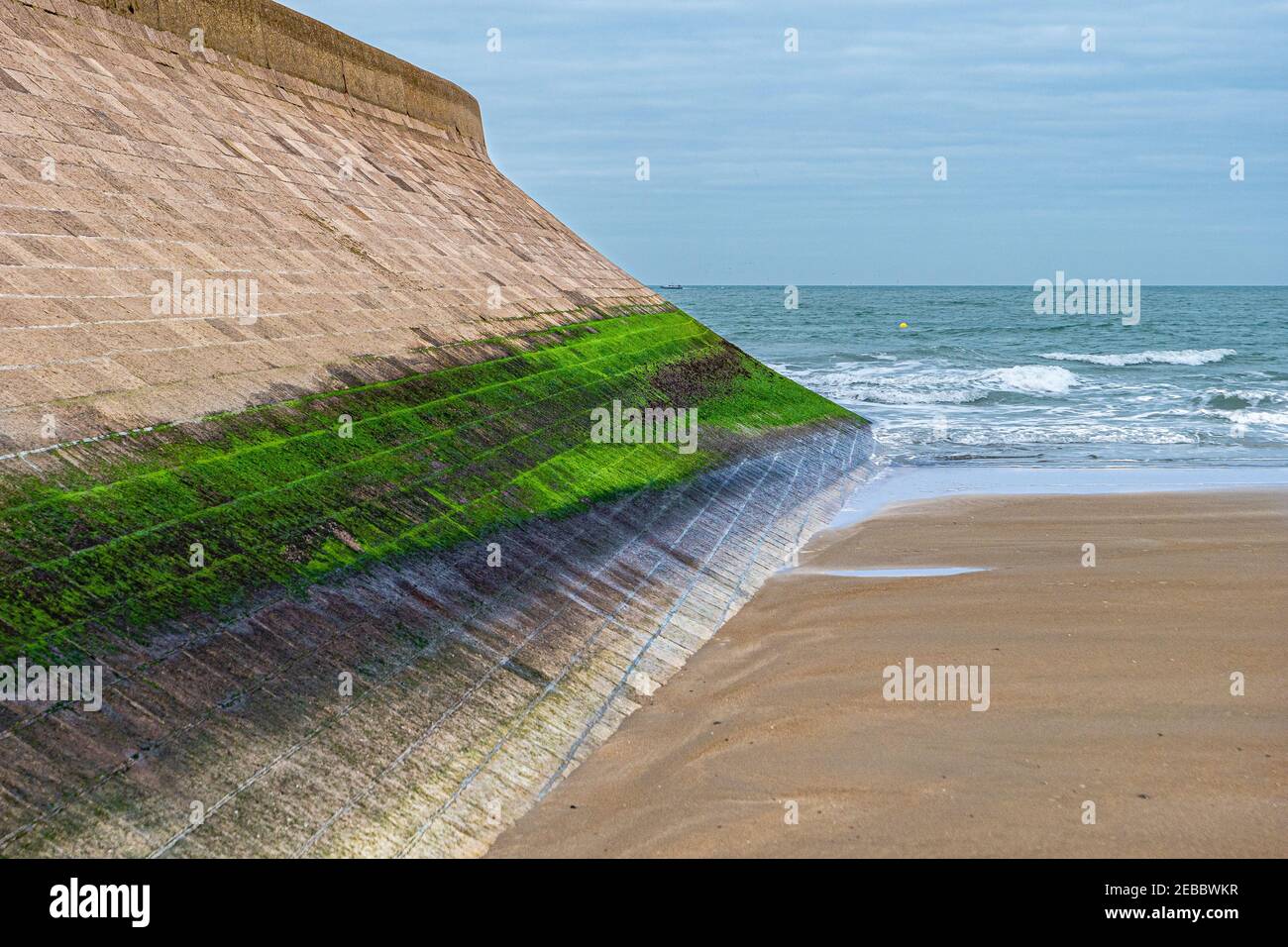 Algae covered wall with vegetation at the beach Stock Photo