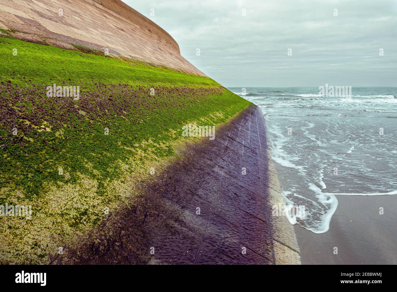 Algae covered wall with colorful vegetation Stock Photo