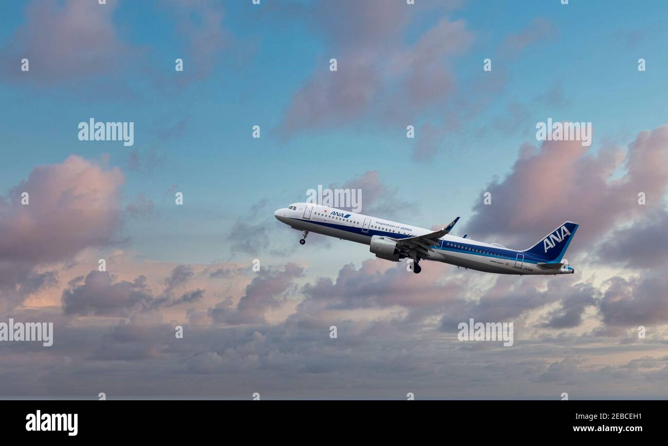 Airbus with ANA livery taking off from Haneda airport, Tokyo, Japan Stock Photo