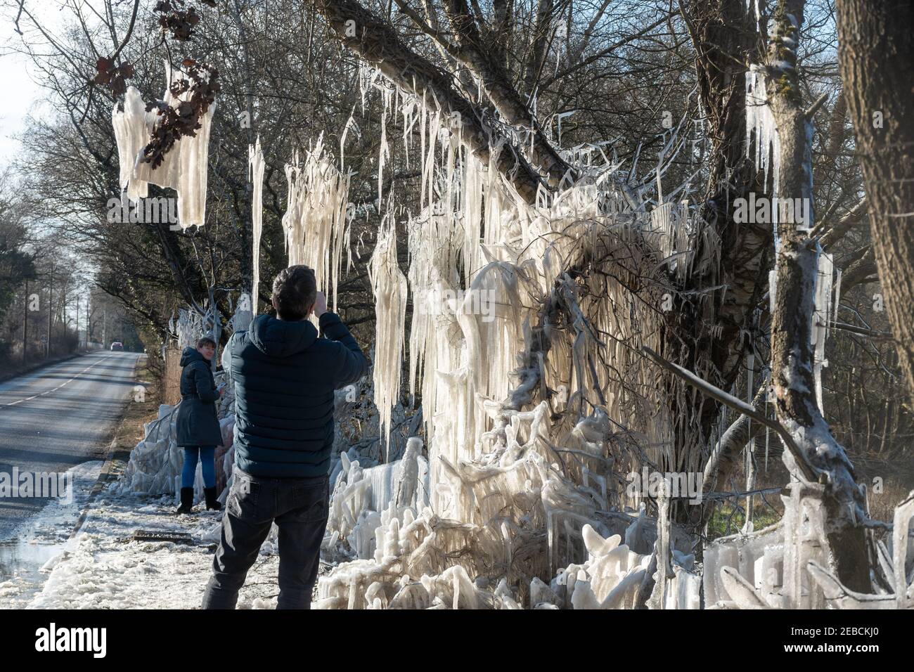 Icicles And Ice Formations On Roadside Trees During A Cold Spell Known As The Beast From The East In Hampshire Uk During Winter Mid February 21 Stock Photo Alamy