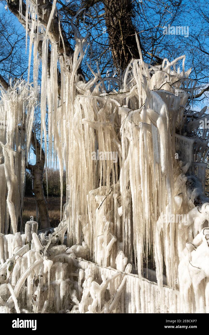 Icicles And Ice Formations On Roadside Trees During A Cold Spell Known As The Beast From The East In Hampshire Uk During Winter Mid February 21 Stock Photo Alamy Icicles And Ice Formations On Roadside Trees During A Cold Spell Known As The Beast From The East In Hampshire Uk During Winter Mid February 21 Stock Photo Alamy