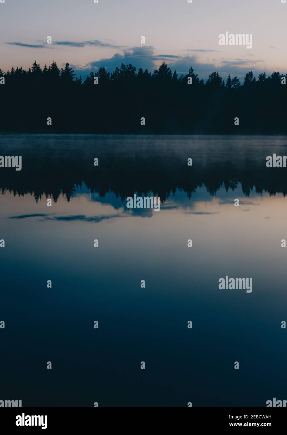 Vertical shot of a reflection of trees on the lake in the evening Stock ...