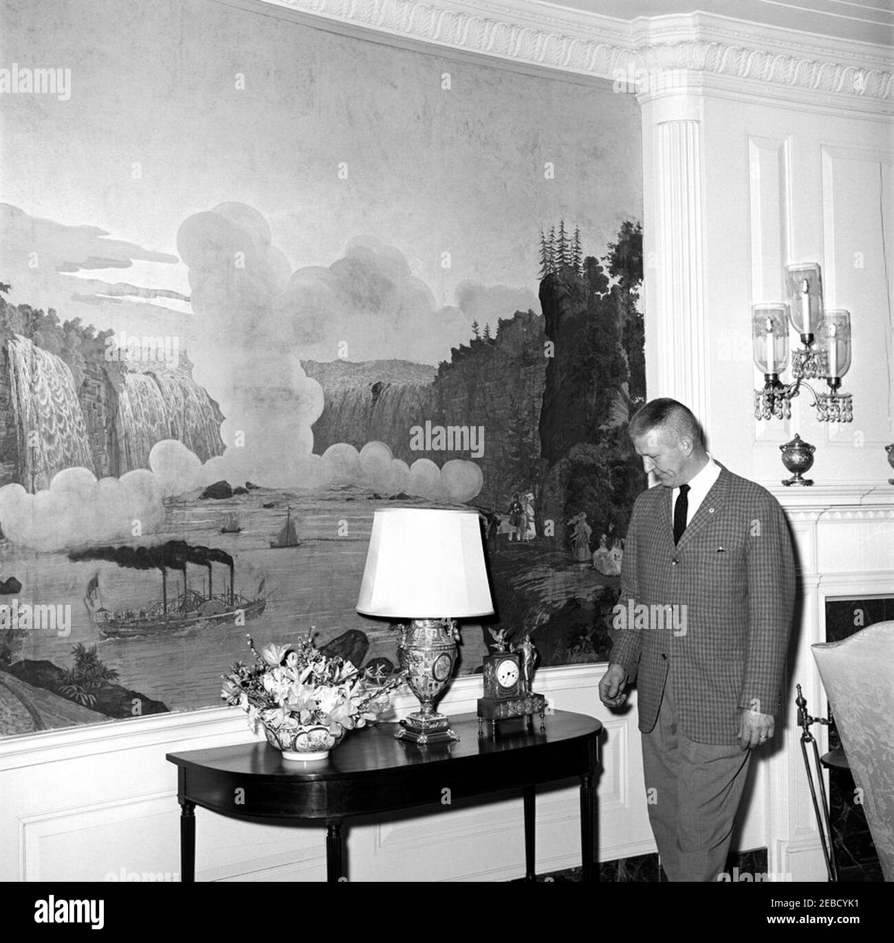 Zuber Wallpaper White House