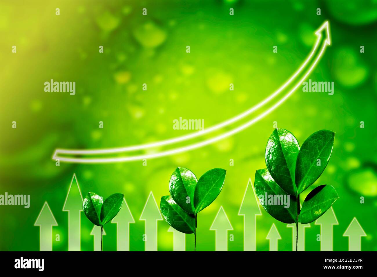 CAREER DEVELOPMENT GROWTH POTENTIAL visual data 5