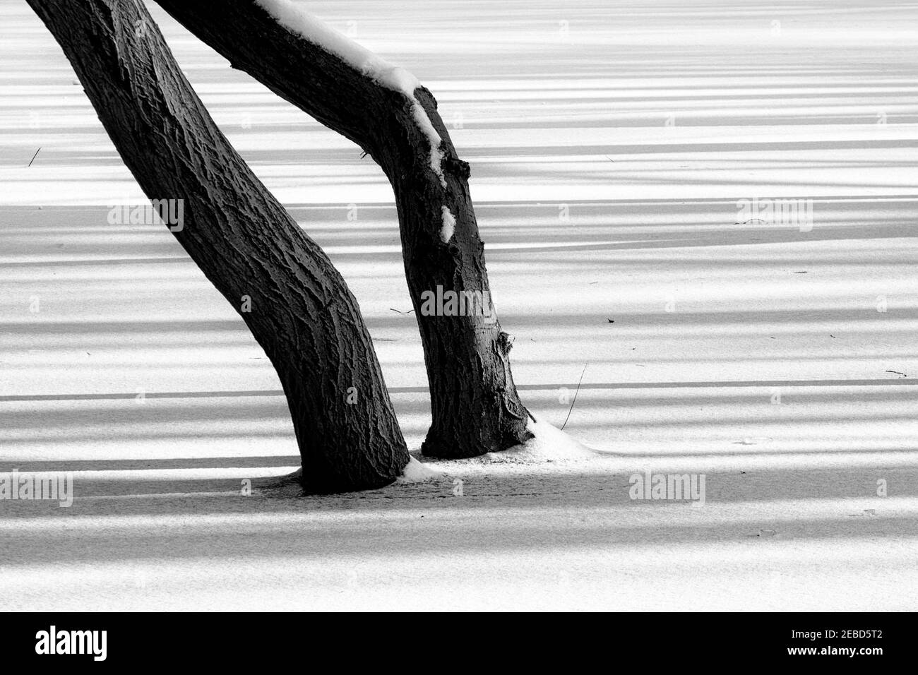 Minimalist black and white winter landscape, United Kingdom. Stock Photo