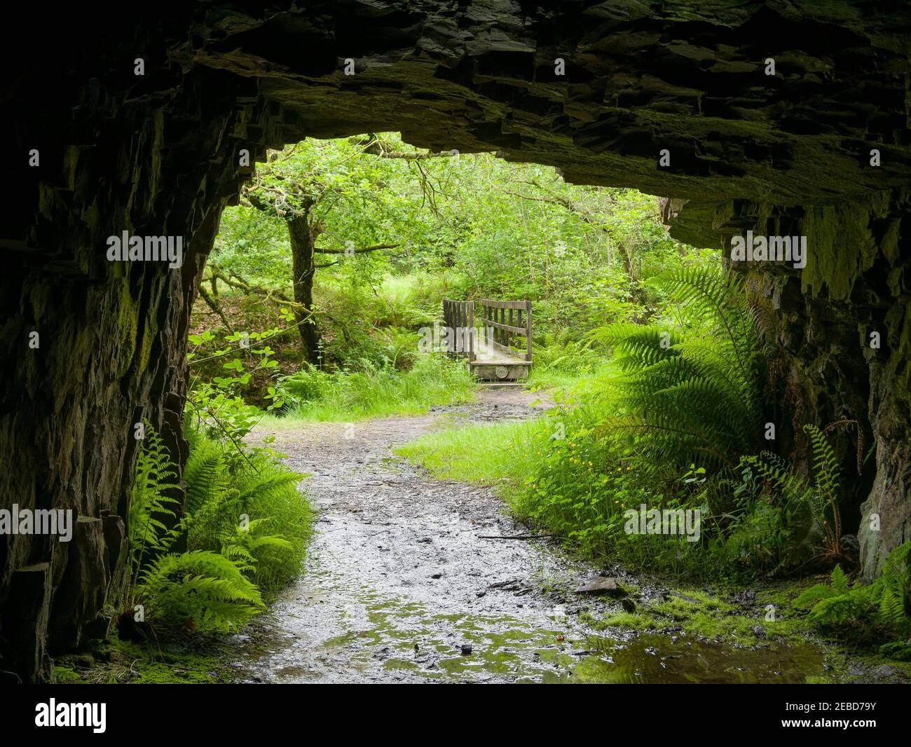 A mine entrance and footbridge over the River Sychryd on the edge of the Bannau Brycheiniog (formerly Brecon Beacons) National Park near Pontneddfechan, Powys, South Wales. Stock Photo