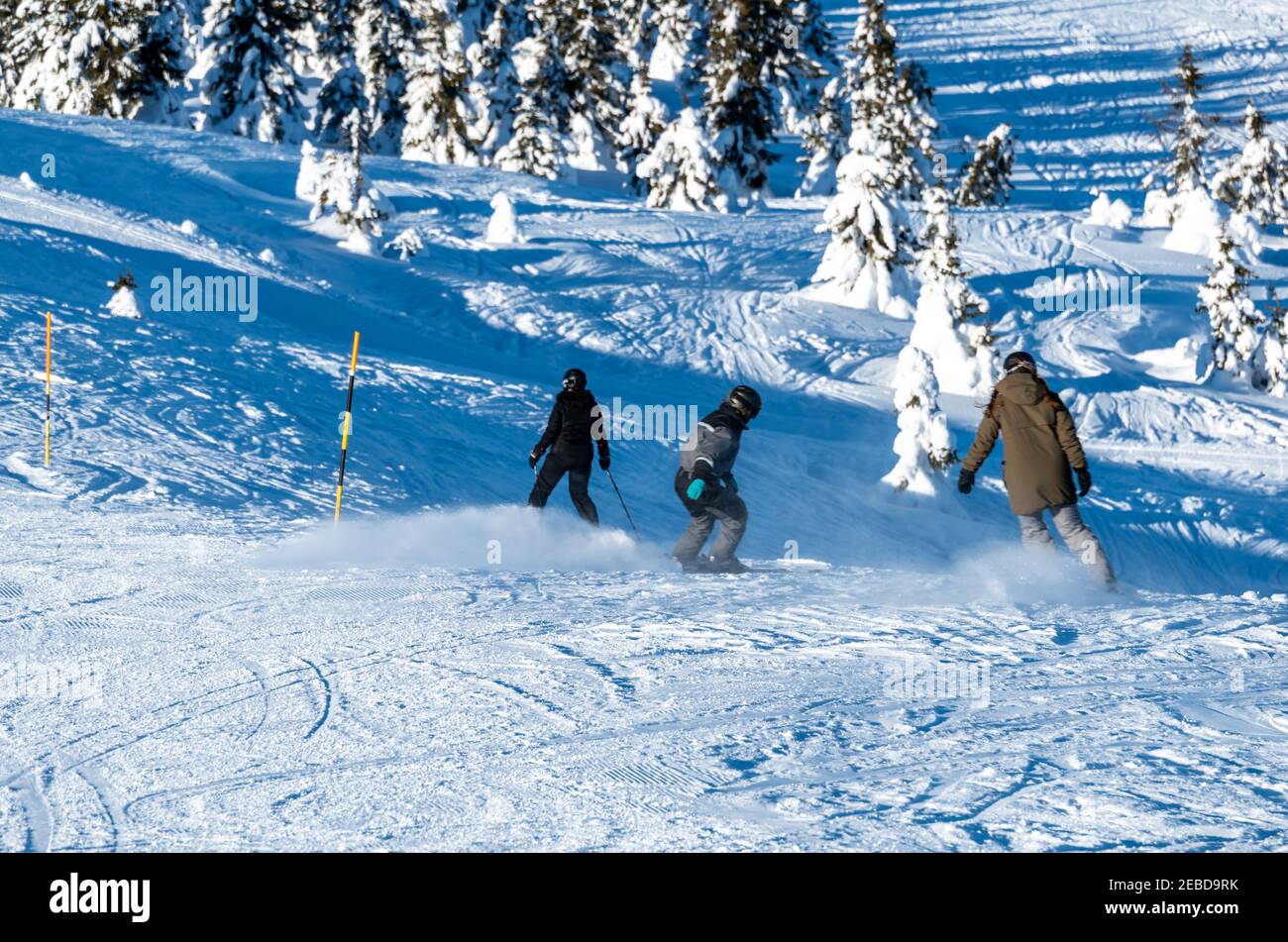 Family skiing downhill at a ski sports resort on a sunny winters day. Stock Photo