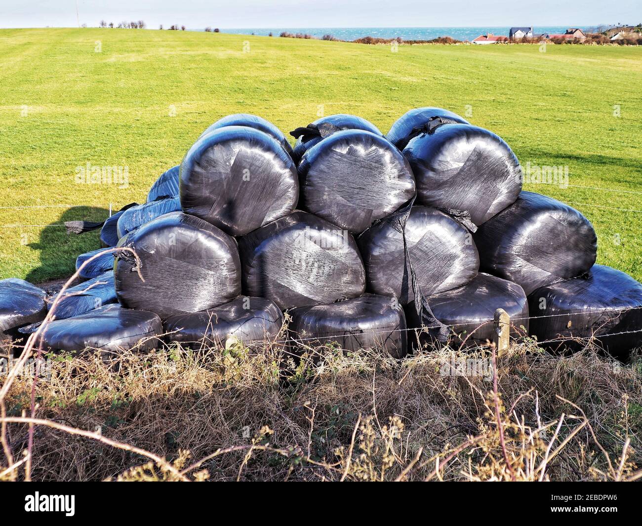 Hay bales wrapped in plastic Stock Photo Alamy