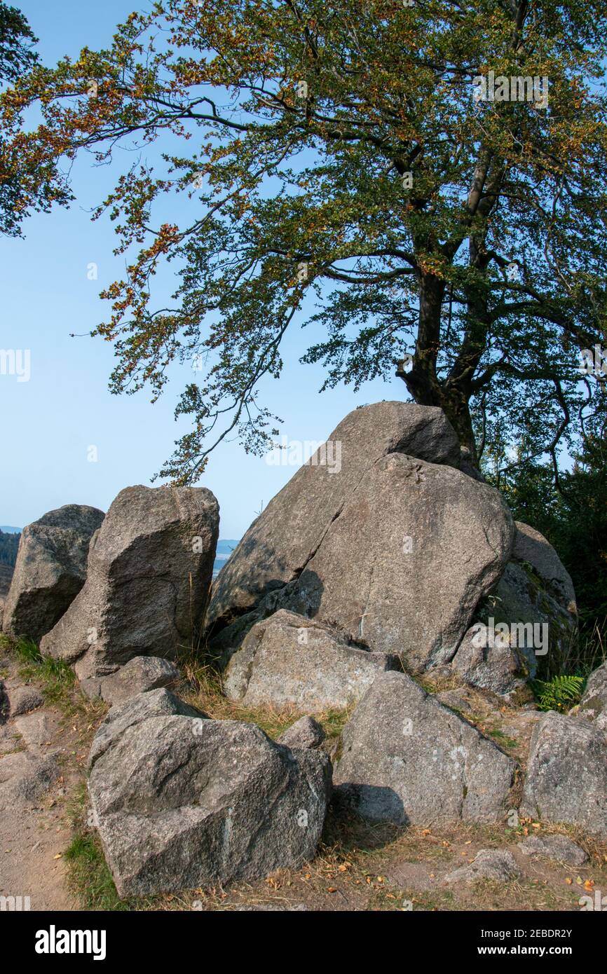 Rocks and a view of the Rennsteig long-distance hiking trail in Thuringia on the stage from Ruhla to Ebertswiese Stock Photo