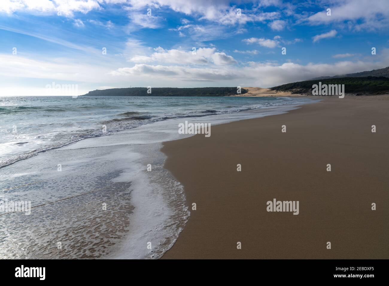 A peaceful empty golden sand beach with waves rolling in and pine forest and a large sand dune in the background Stock Photo