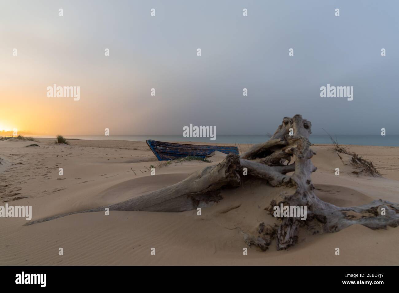 An old wooden fishing boat and driftwood on a beach after sunset with ...