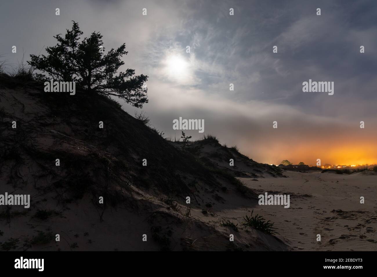 A sand dune and tree silhouette under an overcast evening sky with full moon and village lights behind Stock Photo