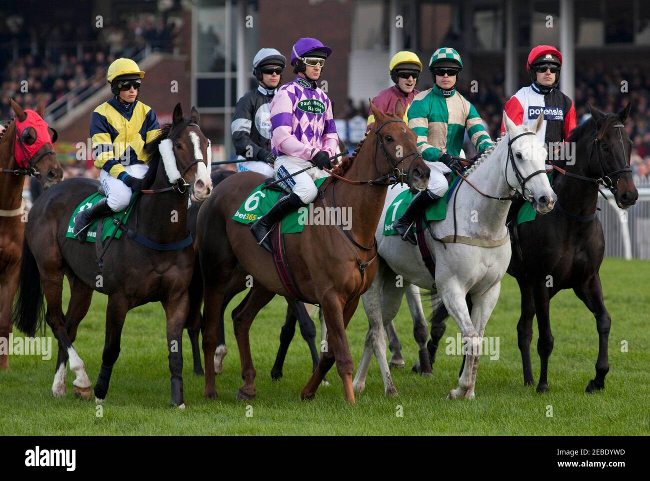 15++ Uk horse racing results wetherby best advice