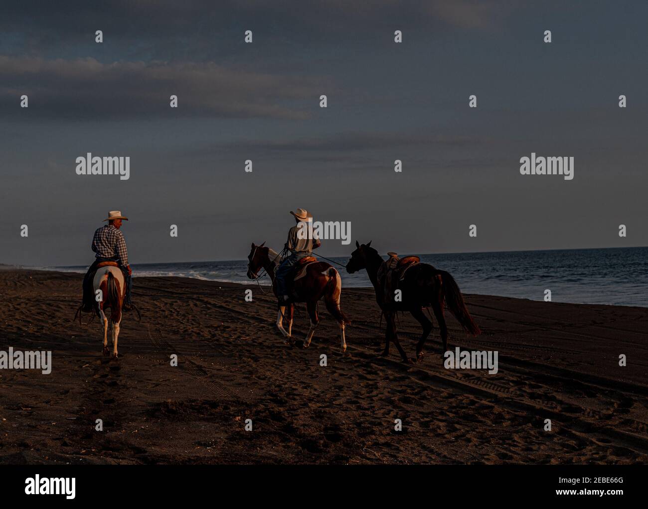 Horses on the beach at sunset hi-res stock photography and images - Alamy