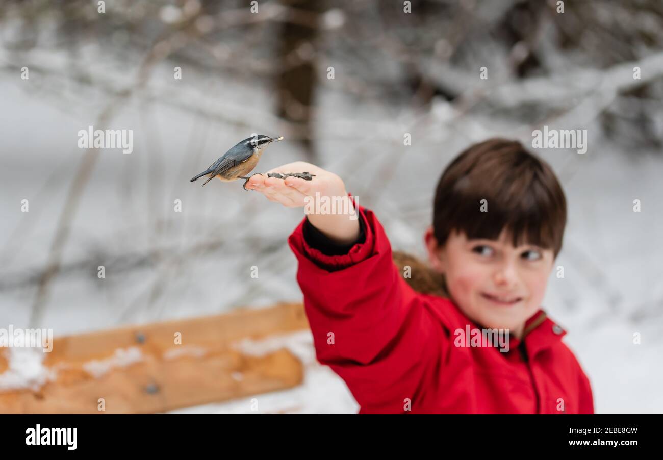 Cute boy in red coat feeding bird from his hand on snowy winter day. Stock Photo