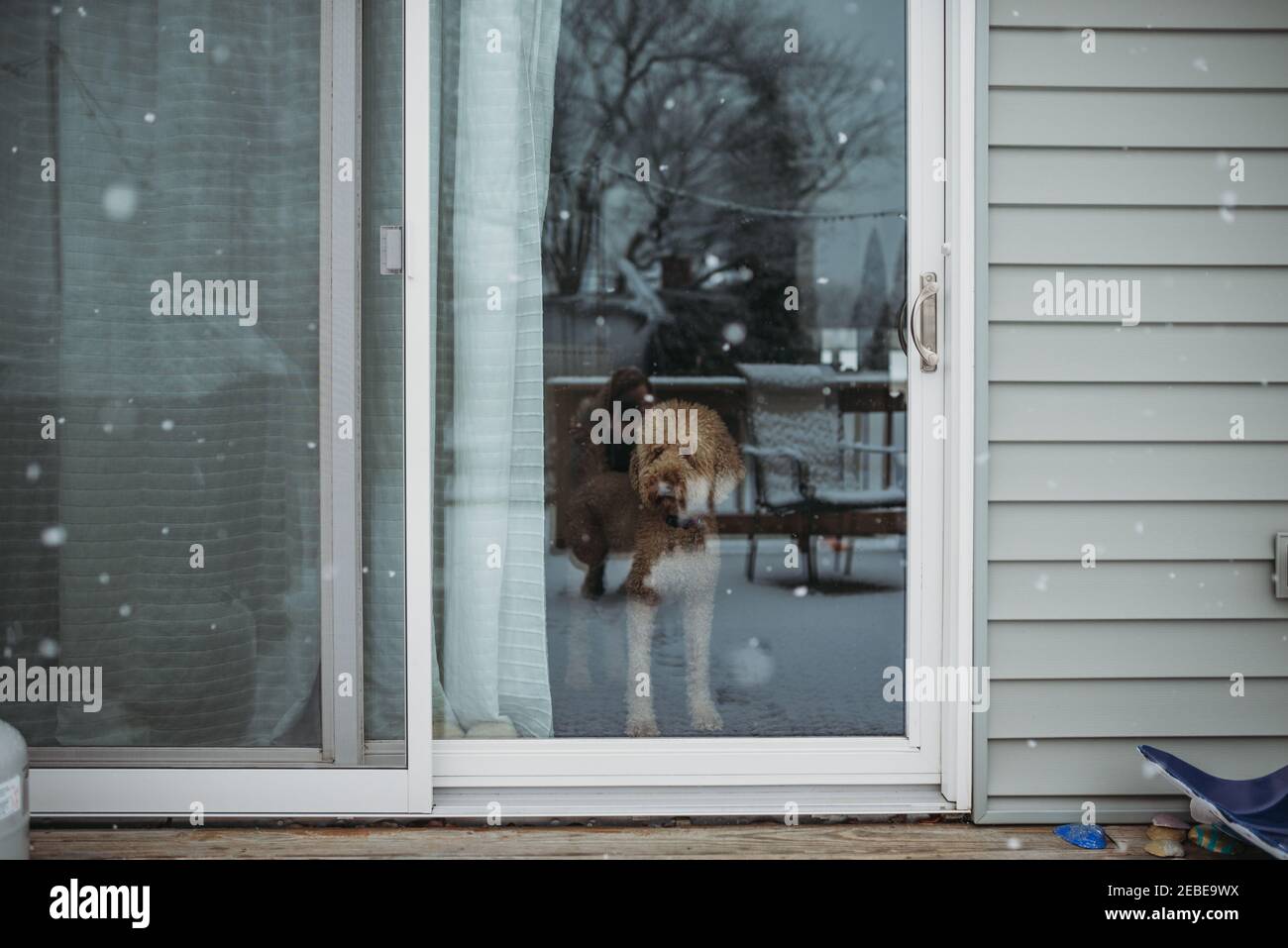 Lost My Dog Until I Found This The Best Sliding Patio Screen Door With Dog Door Revealed - 1q222kg