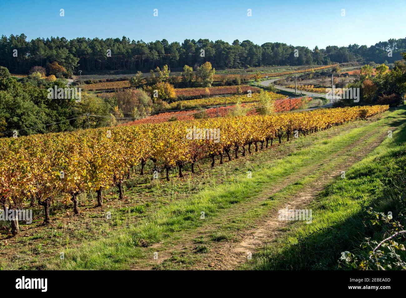 Vineyards - Same view, different seasons - Languedoc, southern France. Stock Photo