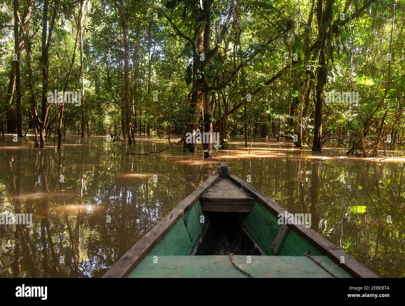 A boat floats through a flooded jungle beside the Amazon River near