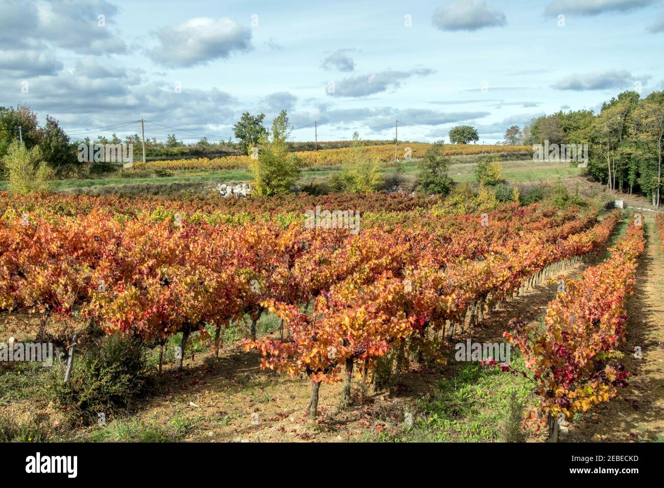 Vineyards - Same view, different seasons - Languedoc, southern France. Stock Photo