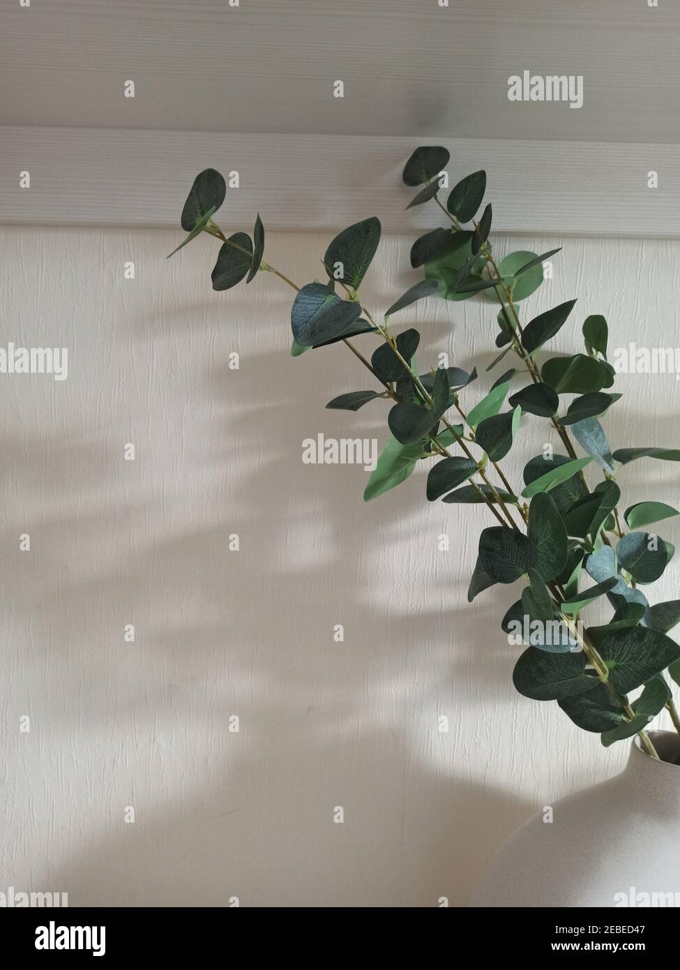 Eucalyptus branches in an interior vase Stock Photo Alamy