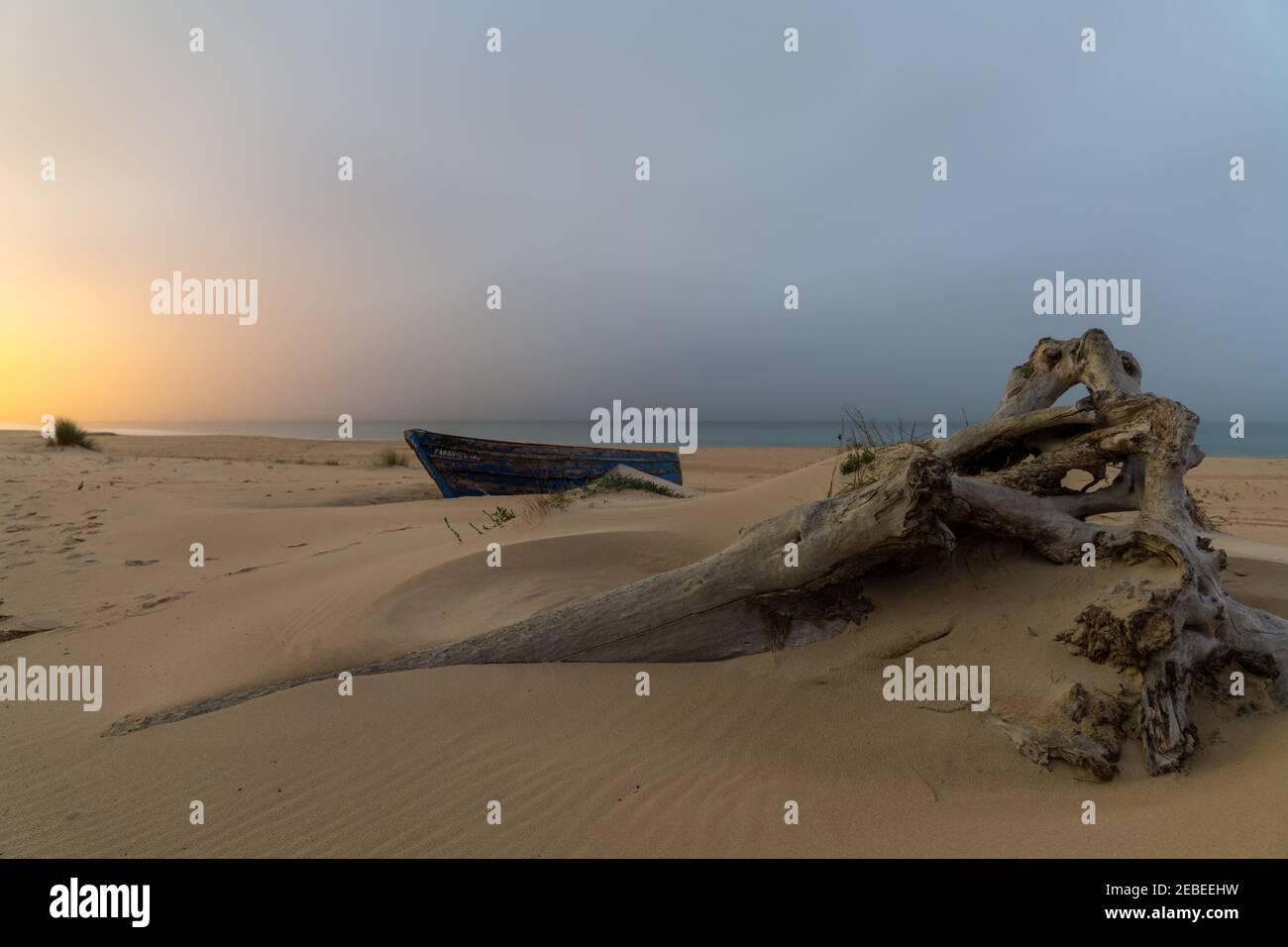 An old wooden fishing boat and driftwood on a beach after sunset with ...